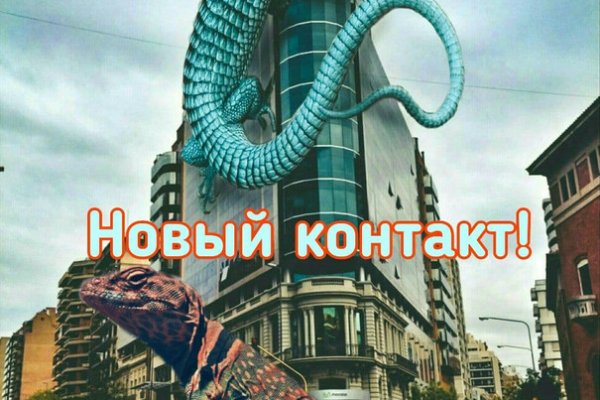 Найти зеркало кракена