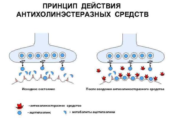 Клир ссылка на кракен 2025